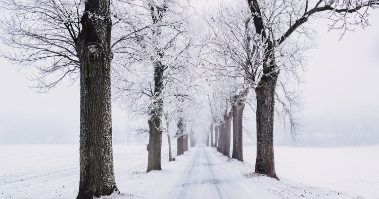 Preparing your entrance door for winter