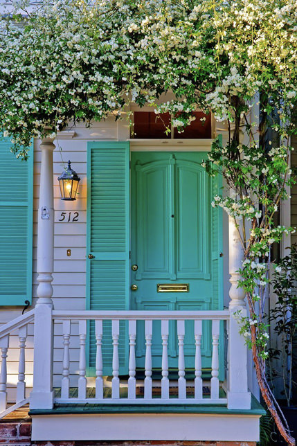 Coloured entrance doors