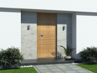 Modern wood front doors 1641